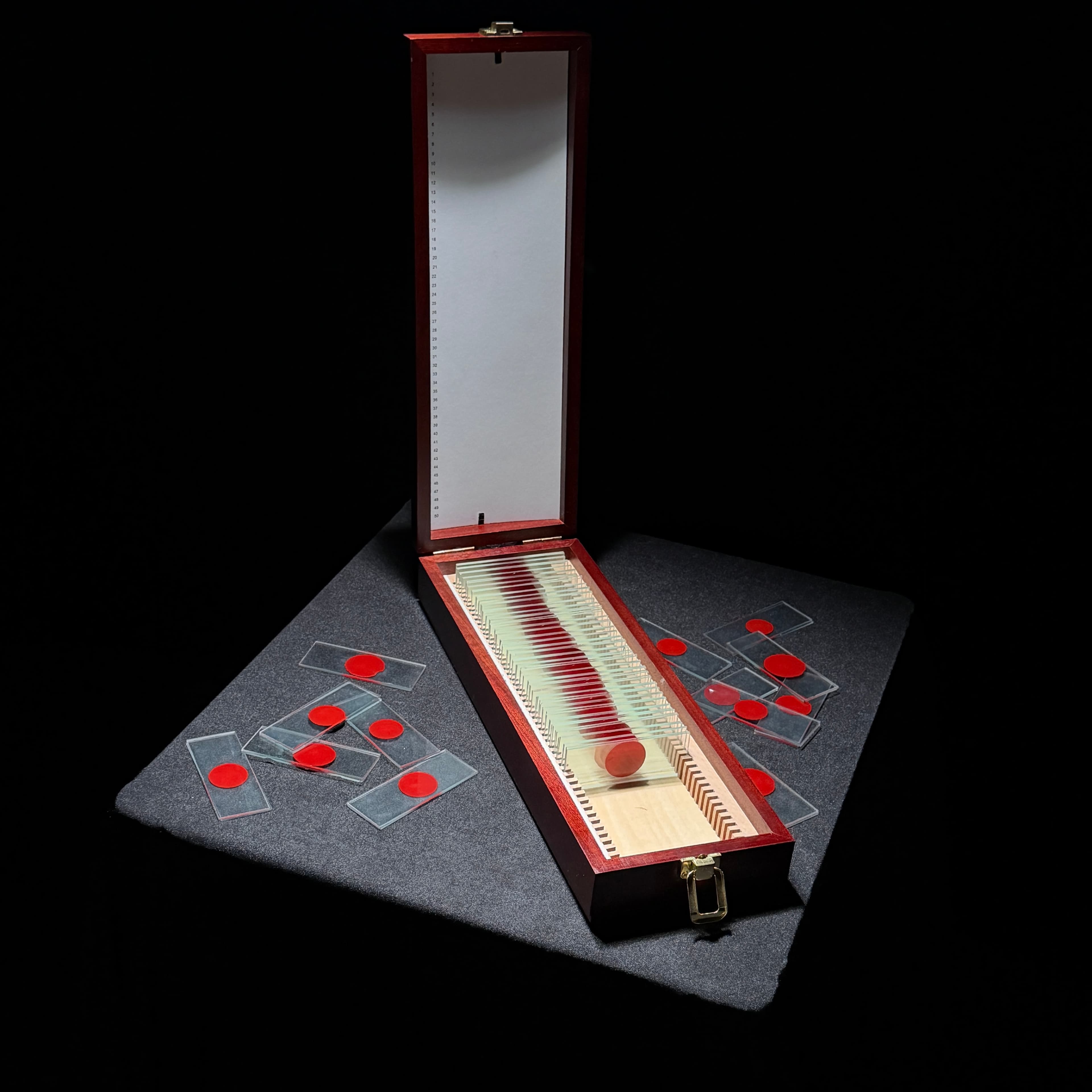 Dexter's Slide Box product view 1