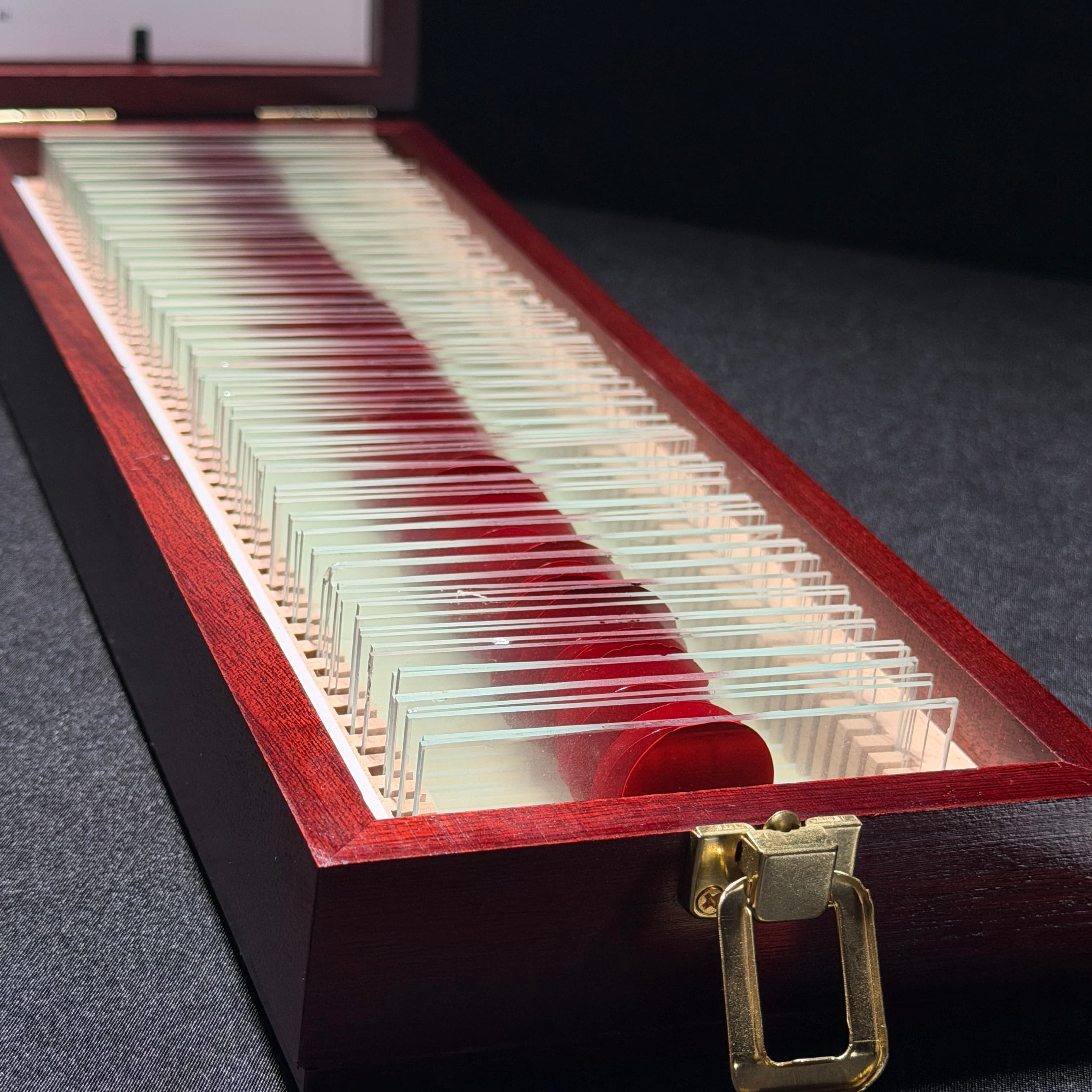 Dexter's Slide Box product view 3