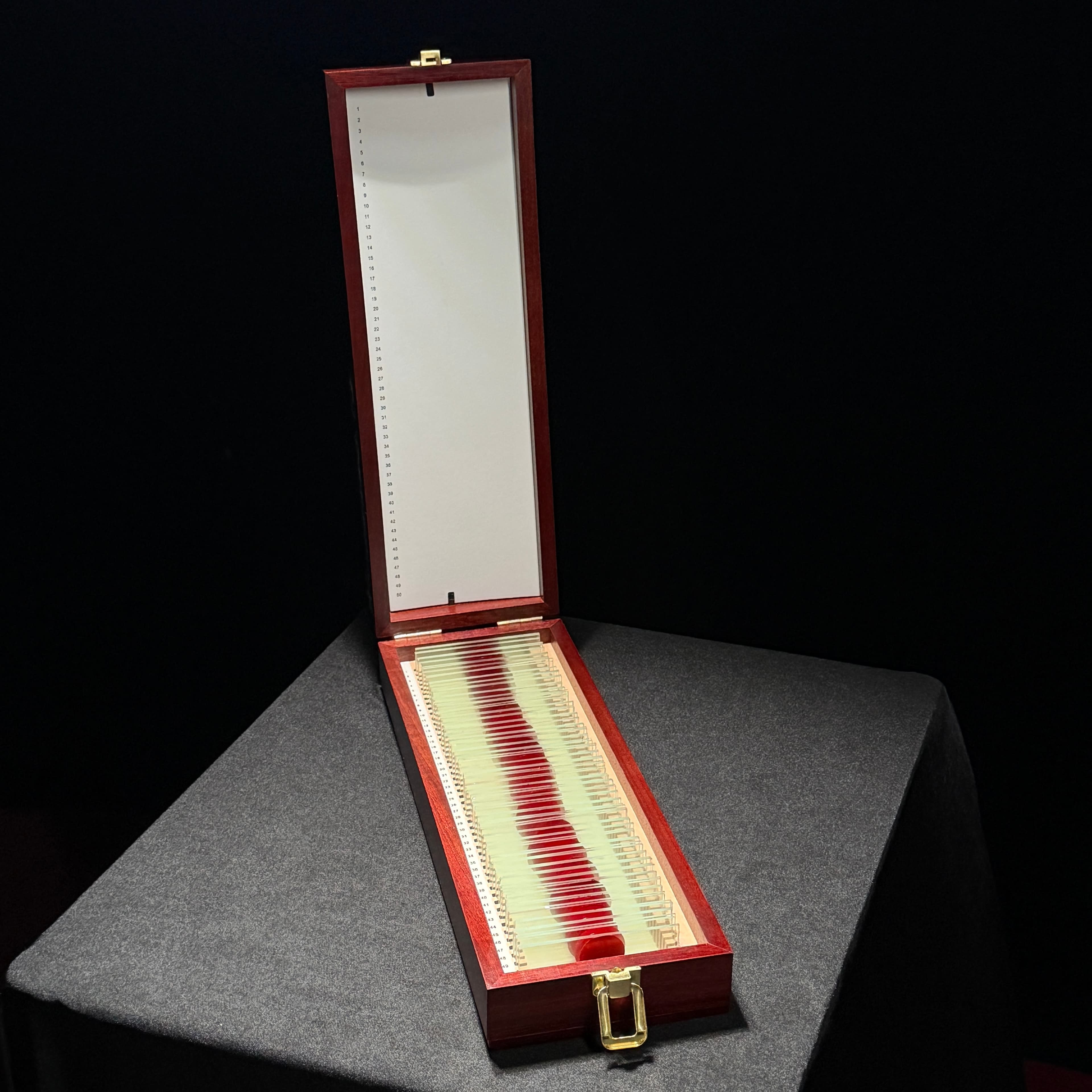 Dexter's Slide Box product view 5